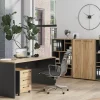 Aktenregal Podium, Eiche Navarra Nachbildung/graphit matt, 196 cm