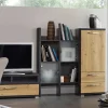 Anbauwand Kosi Plus, Asteiche-Nachbildung/graphit