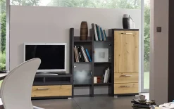 Anbauwand Kosi Plus, Asteiche-Nachbildung/graphit