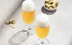 Biertulpe Basic, 4-teilig