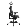Bürostuhl Sitness RS PRO 2020, anthrazit/schwarz