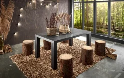 Esstisch Big System Deluxe in flamed wood black