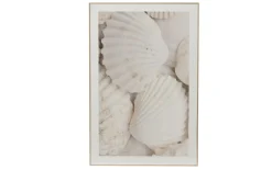Gemälde, gebrochenes weiß, Motiv Muschlen, 40 x 60 x 2,5 cm