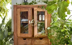 Glasvitrine Yoga, massives Shisham