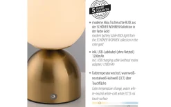 LED-Akkutischleuchte Rudi Schöner Wohnen, goldfarbig, inkl. CCT Funktion