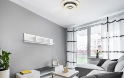 LED-Deckenleuchte CCT Jacky, schwarz/weiß, 50 cm