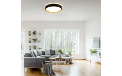 LED-Deckenleuchte Emilia, schwarz, 39,6 cm