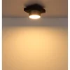 LED-Deckenleuchte Raymond, schwarz/goldfarbig
