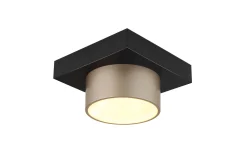 LED-Deckenleuchte Raymond, schwarz/goldfarbig