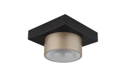 LED-Deckenleuchte Raymond, schwarz/goldfarbig