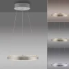 LED-Pendelleuchte Anillo, stahl, inkl. CCT und Memoryfunktion