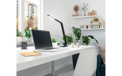 LED-Tischleuchte CCT Wasp, schwarz, 106 cm