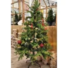 Tannenbaum Allison II, grün, inkl. LED-Beleuchtung, 150 cm