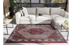 Teppich Seidenwind Bidjar, creme/rot, 160 x 230 cm