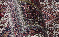Teppich Seidenwind Bidjar, rot/creme, 200 x 290 cm