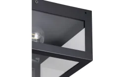 Wand-/Deckenleuchte Amezola, klar/schwarz, IP44