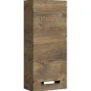 Wandschrank Fokus 4010, Eiche Ribbeck Nachbildung